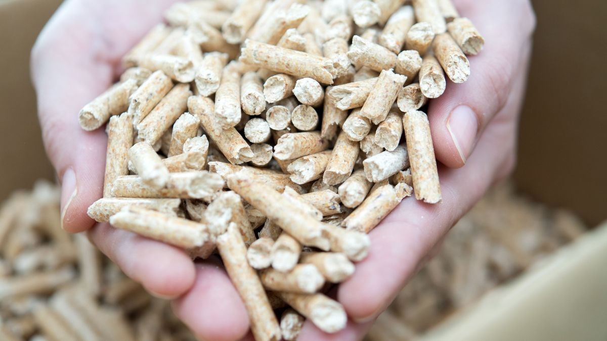 Holzpellets